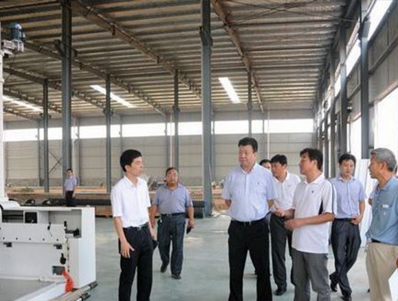 Mengjin County Party Secretary Ji visited our company for inspection